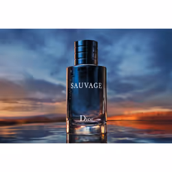 Dior Sauvage Eau De Toilette 100ml