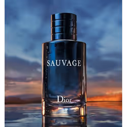 Dior Sauvage Eau De Toilette 200ml
