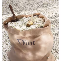 Dior J'Adore Roller Pearl Eau De Parfum 20ml