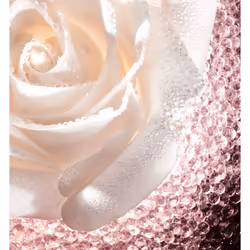 Dior Prestige Le Micro-Caviar de Rose Concentré pour le visage 75 ml Femmes - Vue supplémentaire 3