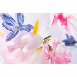 Dior Miss 30ml Femmes - Vue supplémentaire 4