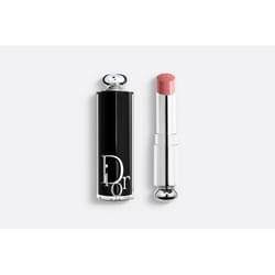 Dior Addict 3,2 g 329 Tie & Dior Brillant