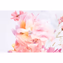 Dior Miss Blooming Bouquet Femmes 30ml