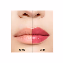 Dior Addict Lip Maximizer brillant à lèvres 029 Intense Grape