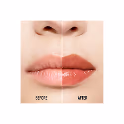 Dior Addict Lip Maximizer brillant à lèvres 039 Intense Cinnamon