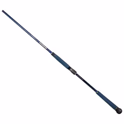 Canne à Pêche - SAKURA - Shkan Shus 1002 HH - 300 M - 60-120g - Pêche en mer