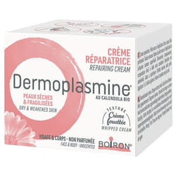 Boiron Dermoplasmine Crème Réparatrice 20 g
