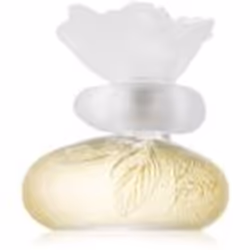 L’eau de toilette pour femme Kenzo Le Monde est Beau vous emmène vers un jardin en fleurs sur un sentier pavé de nuages moell ...
