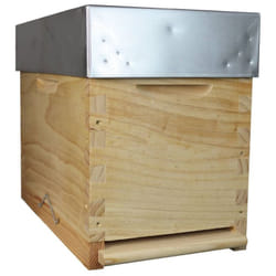 Ruchette Dadant pour pollinisation du jardin