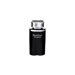 TED LAPIDUS BLACKSOUL