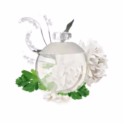 Noa eau de toilette vaporisateur 50 ml - Vue supplémentaire 4
