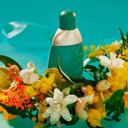 Eden eau de parfum vaporisateur 50 ml