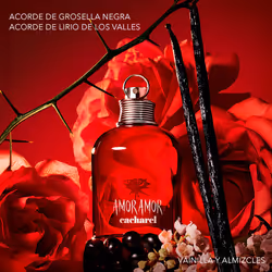 Amor Amor eau de toilette vaporisateur 30 ml