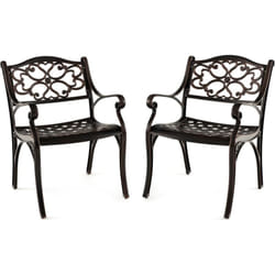 Costway - Lot de 2 Chaises de Jardin en Fonte d'Aluminium, Chaises de Salle à Manger d'Extérieur pour Toutes Saisons, Chaises de Bistro avec