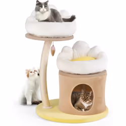 Caractéristiques : Condo privé peut éloigner votre chat de l'agitation pour un meilleur repos Perchoir en forme de patte de c ...