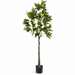 Caractéristiques : Les citrons frais et mignons rendent l'arbre plus charmant et vif Orné de feuilles verdoyantes, de mousse  ...