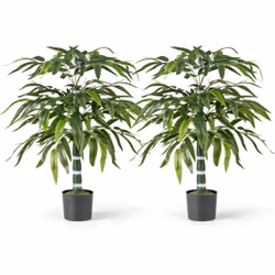 À propos de cet article 【Apparence incroyablement vive】La plante en bambou artificiel présente des feuilles au design complex ...