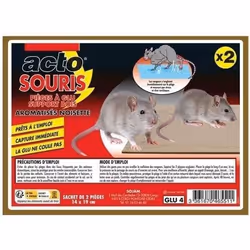 Pièges à glu - ACTO - Rats et souris - Support bois - Étui de 2