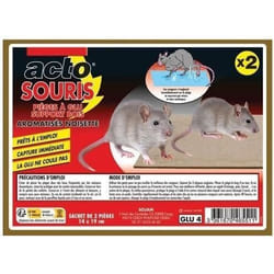 Pièges à glu - ACTO - Rats et souris - Support bois - Étui de 2