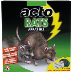 Acto - Raticide appat blé étui de 140g