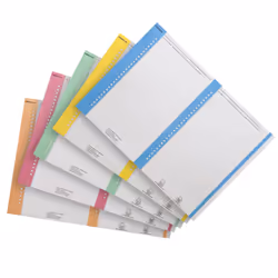 Elba 100330201, A5, 210 x 148 mm, 10 feuilles, 137 x 6 mm, Orange, Rose, Vert, Jaune, Bleu, Papier ligné
