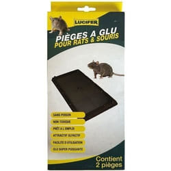 Lot de 2 pièges à glu rats et souris - LUCIFER - Noir