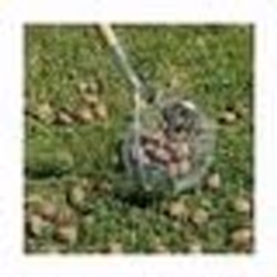 Ramasse noix - LUCIFER - Boule avec manche inox - Gris - Manuel