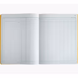 Exacompta 3060D livre d'administration Jaune 40 feuilles