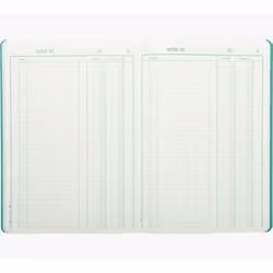 Exacompta 3931D papier de calculs et de déclarations 10 pièce(s) 95 g/m² 210 mm