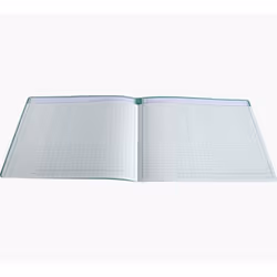 Exacompta 34020D papier de calculs et de déclarations 5 pièce(s) 95 g/m² 320 mm