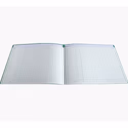Exacompta 34040D papier de calculs et de déclarations 5 pièce(s) 95 g/m² 320 mm
