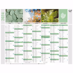 Quo Vadis 238503Q calendrier