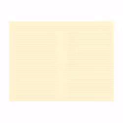 Quo Vadis 237182Q bloc-notes