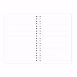 Quo Vadis 2371320Q bloc-notes
