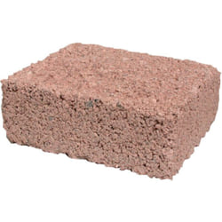 Bloc sels minéraux 1 kg coqselor pour pigeon, volaille et oiseaux Zolux