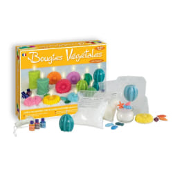 SentoSphère DIY BOUGIES VEGETALES