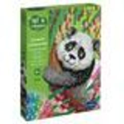 SentoSphère ART & CREATIONS CANEVAS A DIAMANTER - PANDA