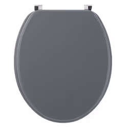Wirquin 20717953, Allongé, Abattant rigide, Gris clair, Bois, 375 mm, 455 mm