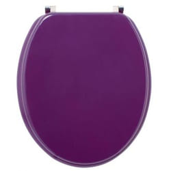 Wirquin 20717955 Abattant souple Acier inoxydable, Bois Violet