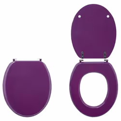 Wirquin 20717955 Abattant souple Acier inoxydable, Bois Violet
