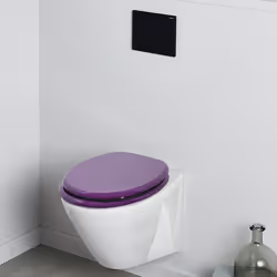 Wirquin 20717955 Abattant souple Acier inoxydable, Bois Violet