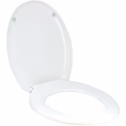 Description générale L'abattant WC Chut de Wirquin est conçu en thermodur, un matériau reconnu pour sa résistance et ses prop ...