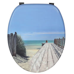 Wirquin 20719122 Abattant rigide Bois Multicolore