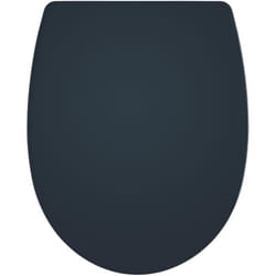 Abattant wc Marbella en thermoplastique, déclipsable et frein de chute Wirquin 20724245, gris anthracite