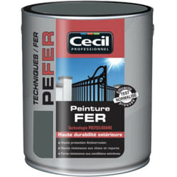 Cecil - Peinture Fer Cécil Professionnel pe fer Anthracite 2,5 l