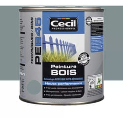 Peinture Bois Cécil Professionnel PEB45 Gris bleuté 0,5 L