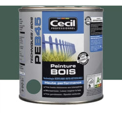 Peinture Bois Cécil Professionnel PEB45 Vert normand 0,5 L