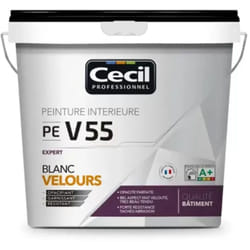Peinture velours CÉCIL PE V55 Blanc 10 L
