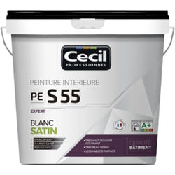 Peinture satinée CÉCIL PE S55 Blanc 10 L