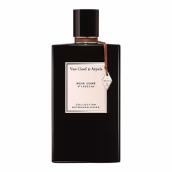 Van Cleef &amp; Arpels VA010A16